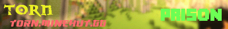 banner for Torn S3 server
