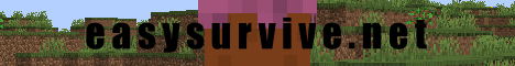 banner for easysurvive.net server