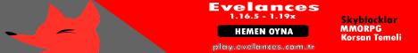 banner for Evelances server