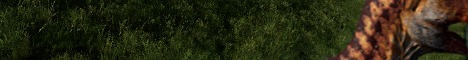 banner for The Dome of City server