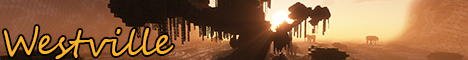 banner for Westville server
