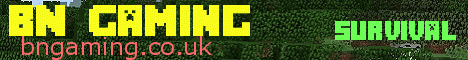 banner for Pixel Pockets server