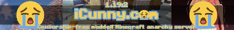 banner for iCunny server
