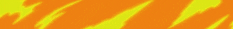 banner for POLLAND server