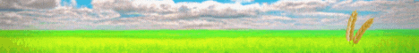 banner for Stardew Network server