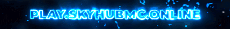 banner for SkyHub server