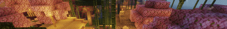 banner for Chartis server