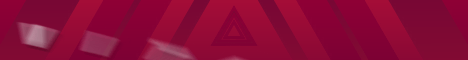 banner for VitalityMC Network server