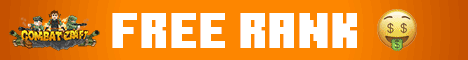 banner for CombatCraft server