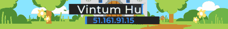 banner for Vintum Hub server