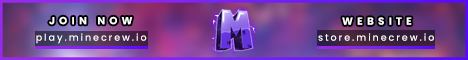 banner for Minecrew Network server