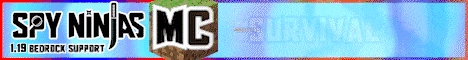 banner for Spy Ninjas MC server