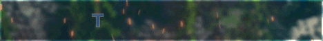 banner for TheCrownSMP server