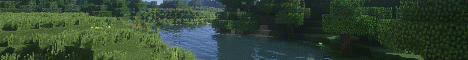 banner for Elict server