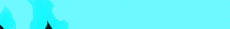 banner for PrimeGames server