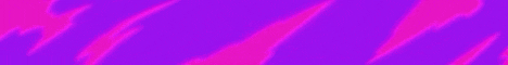 banner for PaxMC server