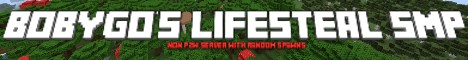 banner for bobygos Lifesteal SMP server