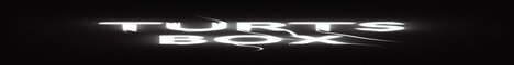 banner for TurtsBox server