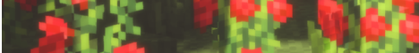 banner for Rosewood SMP server