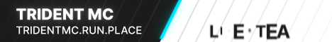 banner for Trident MC server