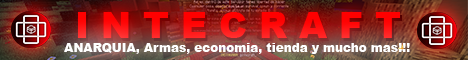banner for intecraft server