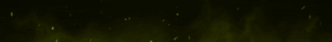 banner for Citrus MC server