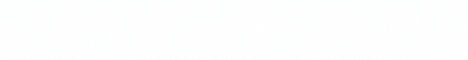 banner for the fonticraft network server