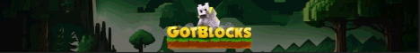 banner for GotBlocks server