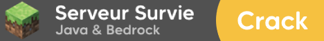banner for Serveur Survie server