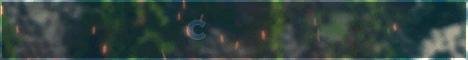banner for Coolax server