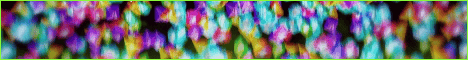 banner for Exorath server