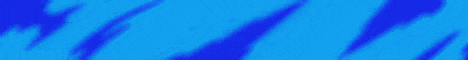 banner for SurviveCraft server