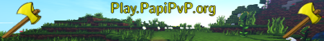 banner for PapiPvP server