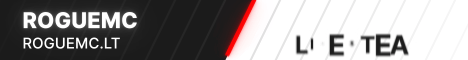 banner for roguemc server