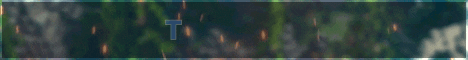 banner for TubeCraft server