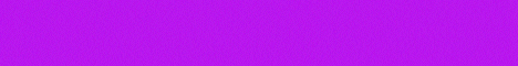 banner for SurvivorNation server