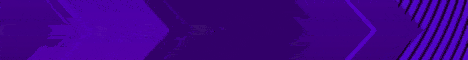 banner for EpicMC server