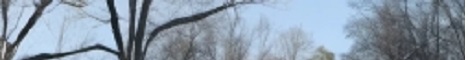 banner for CraftSA server