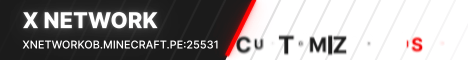banner for X Network Oneblock server