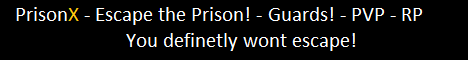 banner for PrisonX server