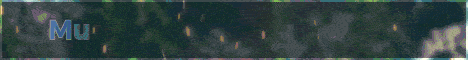 banner for MultiCraft server