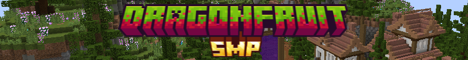 banner for DragonFruitSMP server