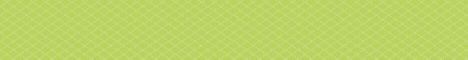 banner for OtterCraft Online server