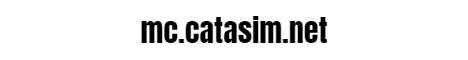 banner for CataSim Network server