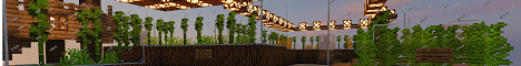 banner for Krotje server