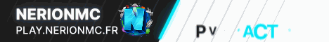 banner for NerionMC server