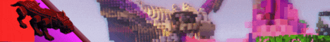banner for Dragon Shield server