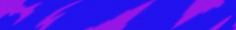 banner for SilentMC server