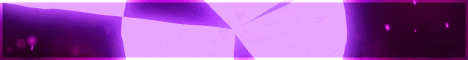 banner for Rice Network server