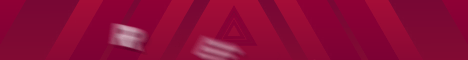banner for ReallifeMC server